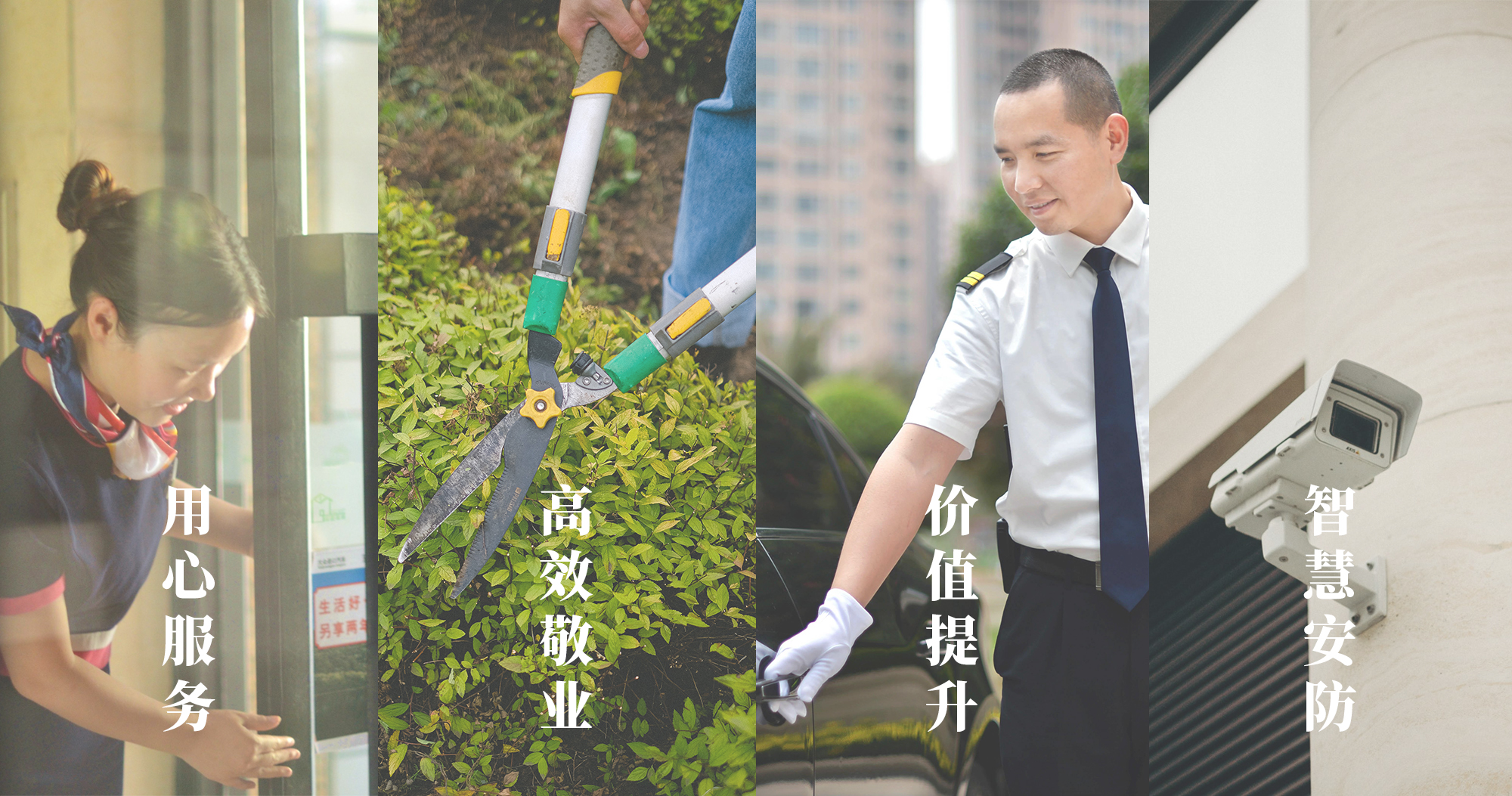 物业综合性应急预案备案