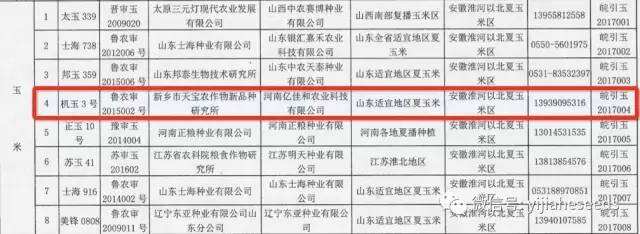 辽单575河北引种备案