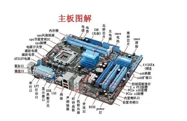 主机中最主要的部件