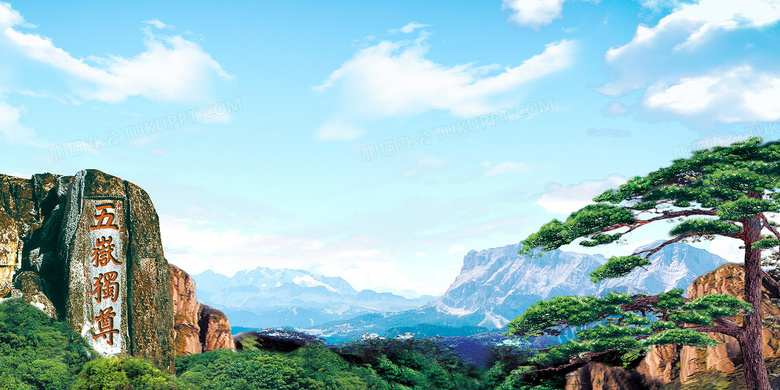 泰山区网络域名