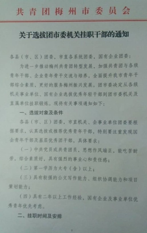 事业人员提拔备案