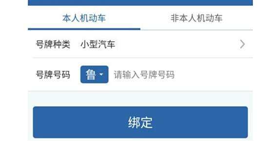 新车号牌什么时间能在12123备案