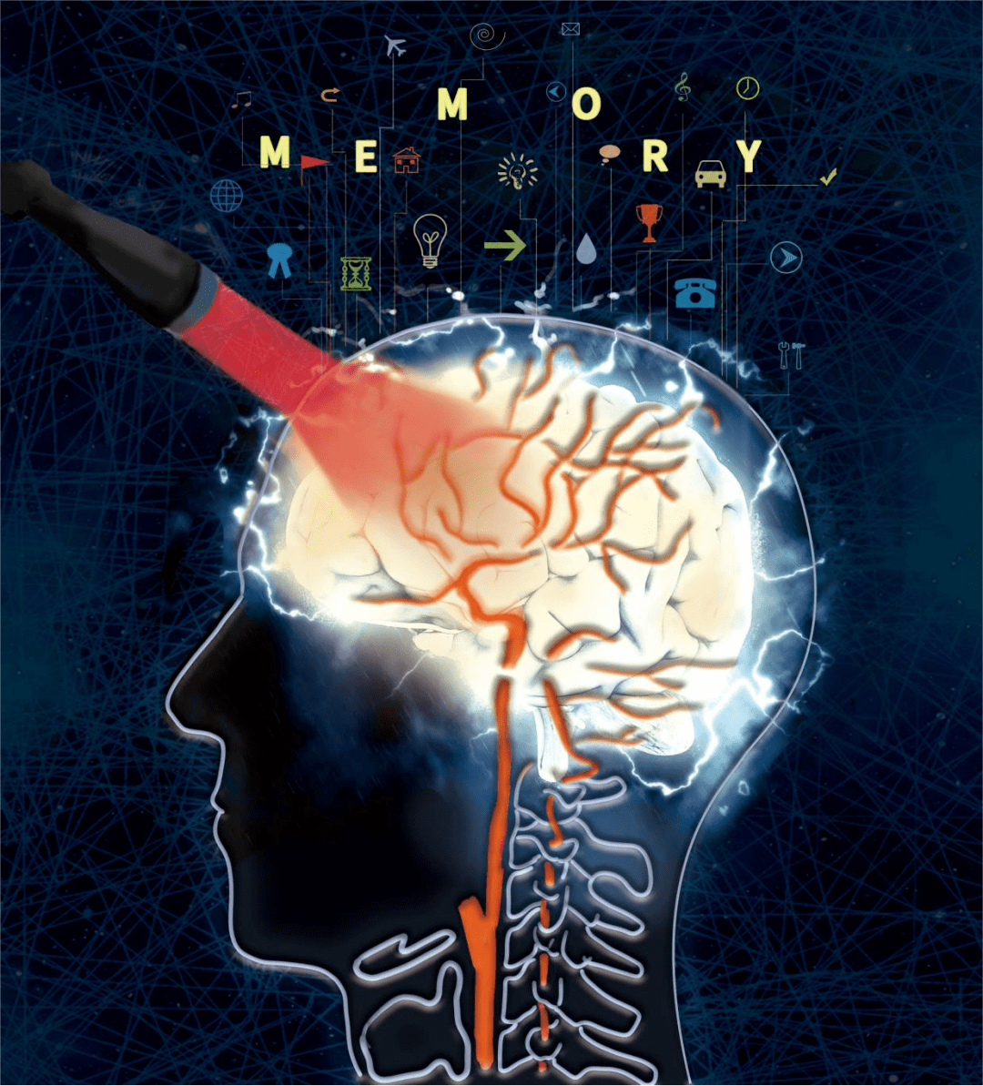 刺激战场国际服什么服务器免费