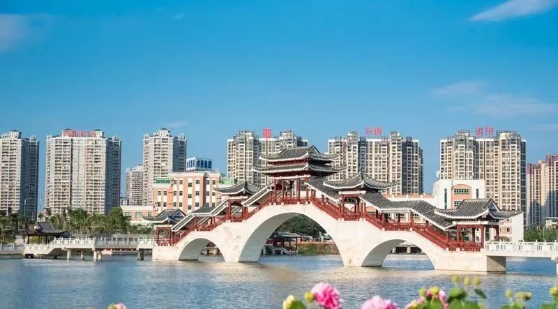 惠州asia域名解析