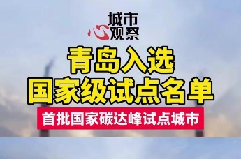2020青岛备案制