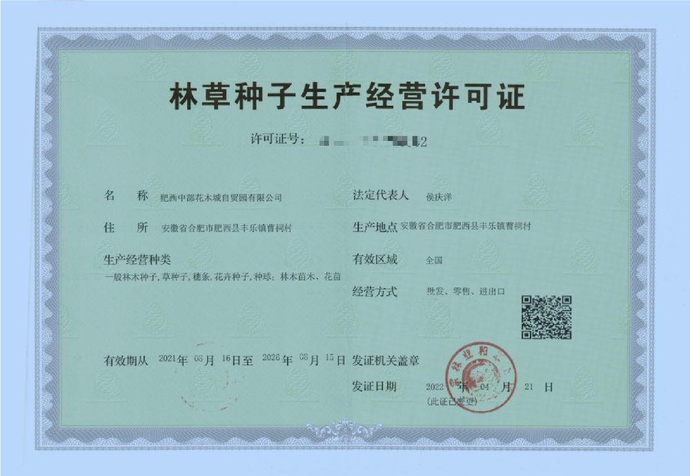 林木种子备案怎么查询