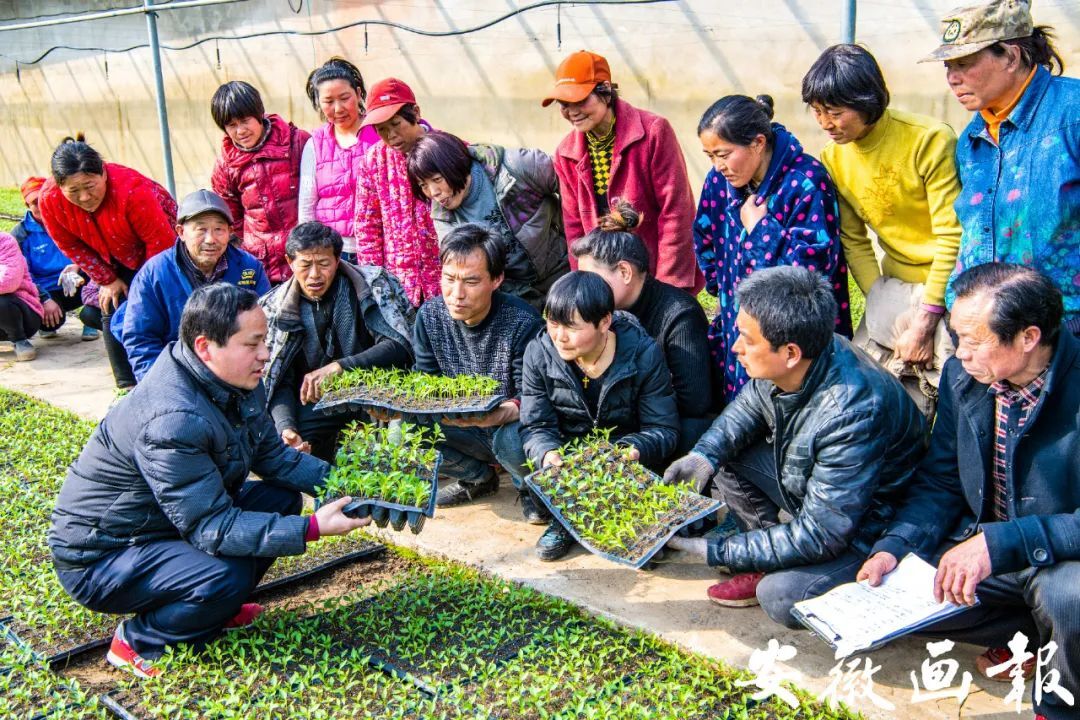 扶贫荒山治理需要去建委备案吗