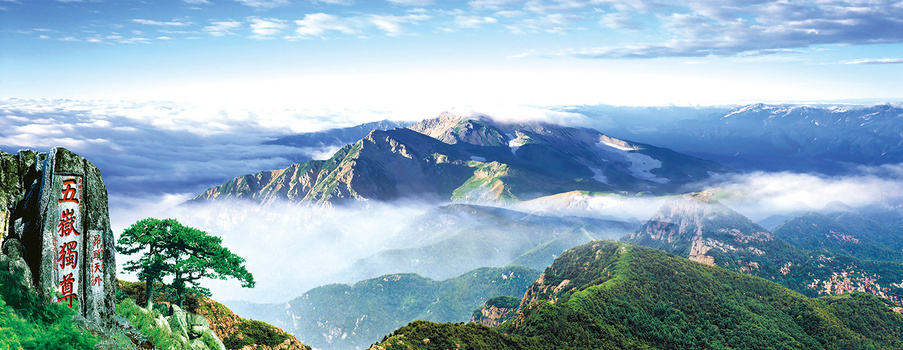 泰山区网络域名
