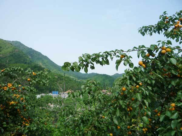 蓟州区个人网站建设报价条件