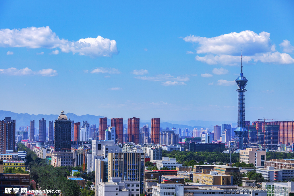 石家庄top域名多少钱