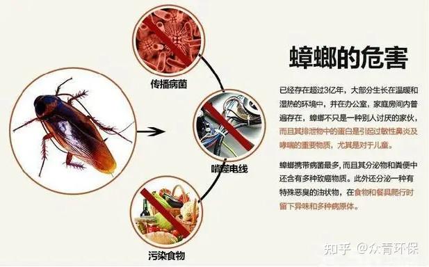怎么防止主机里的蟑螂进去