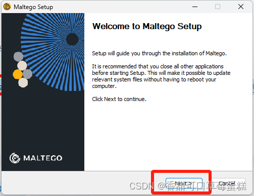 maltego只能查域名吗