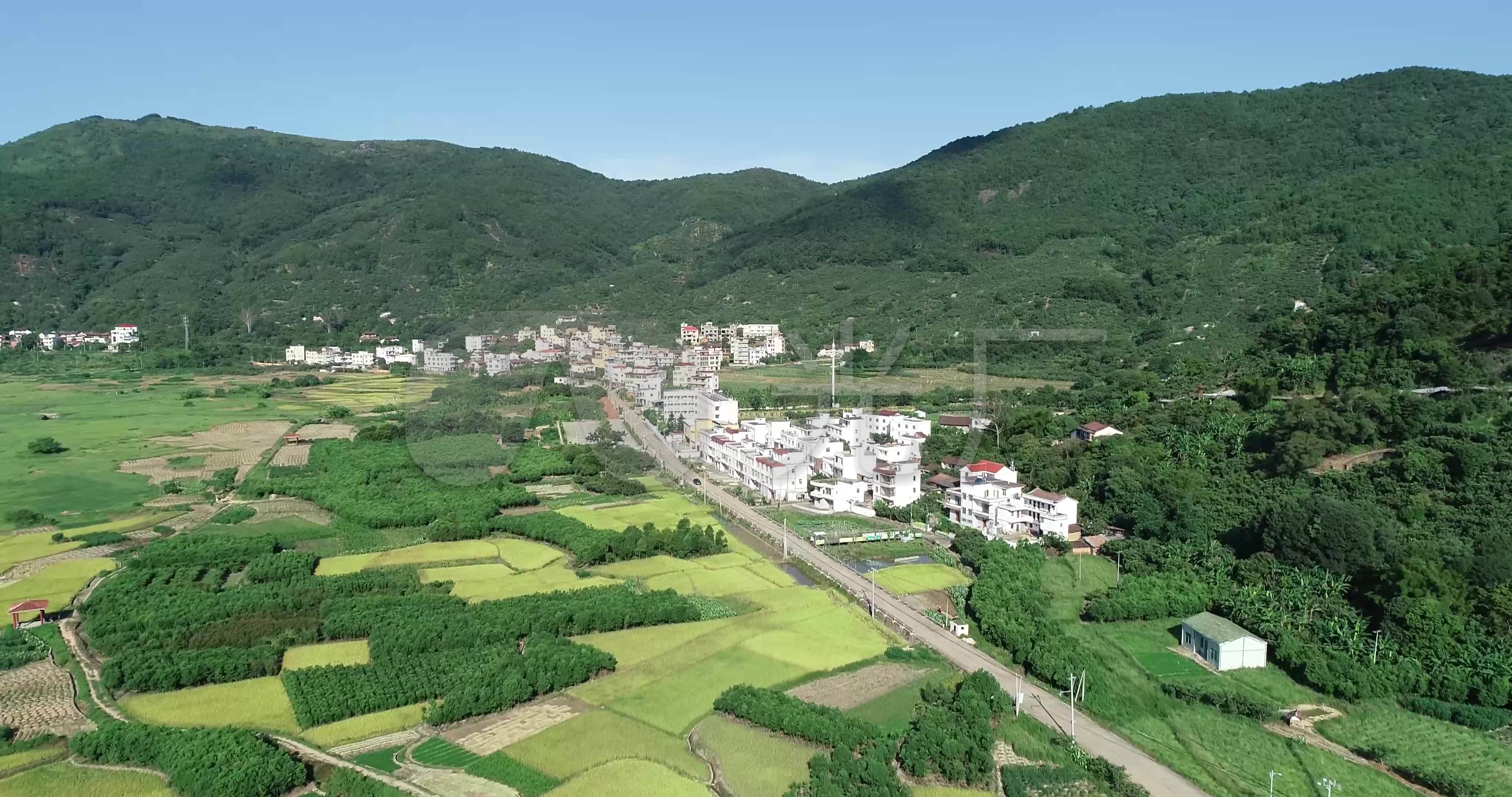 农村集体经济组织转移备案