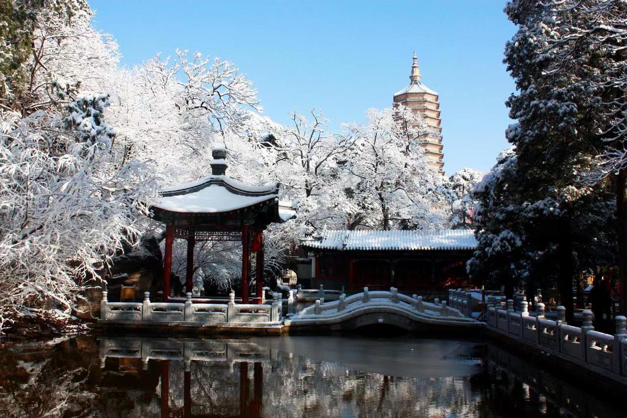石景山区现代网站建设代理商