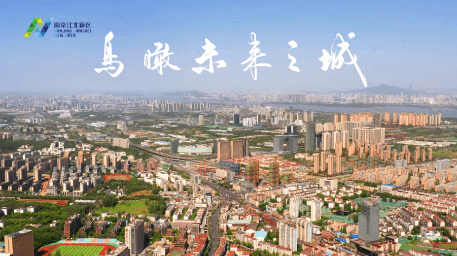 江北新区备案制2021小学语文报名人数