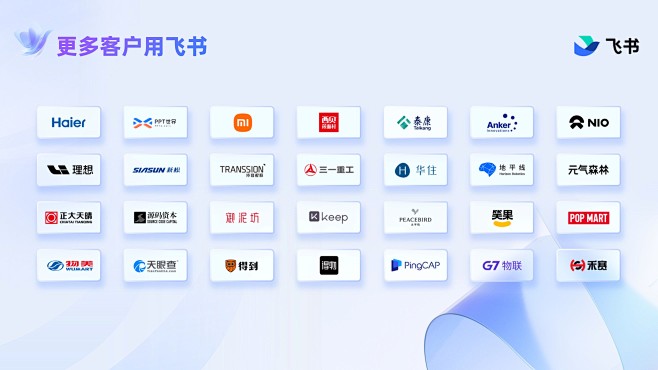 飞书怎么看企业域名