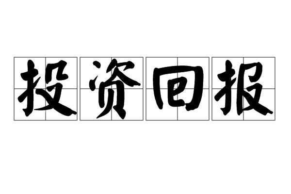 网站建设的投资回报