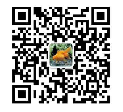 黑料不打烊子域名