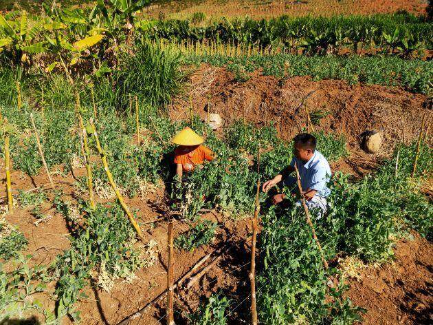 荒山用地备案手续