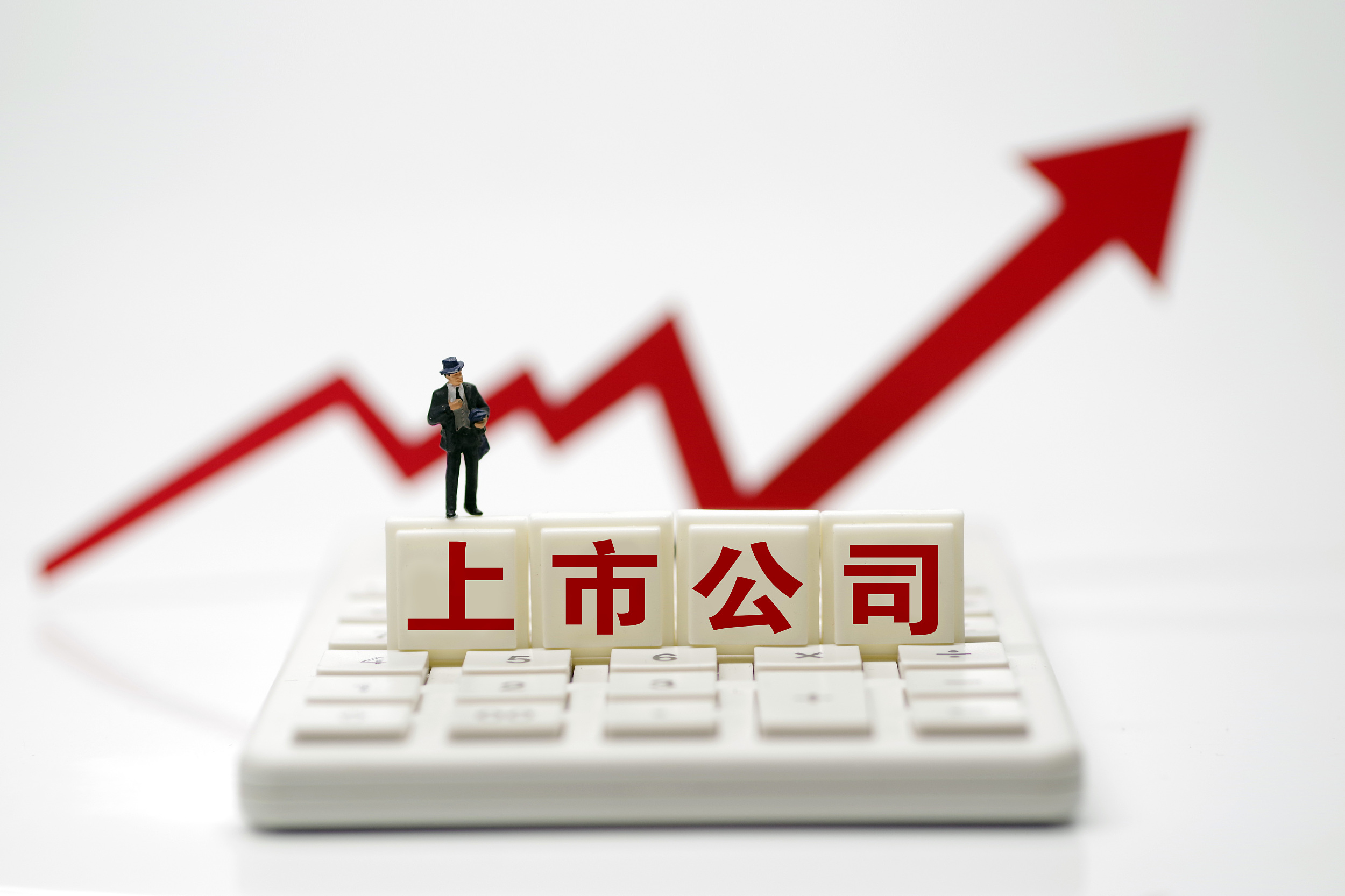 上市辅导备案信息公示到上市要多久