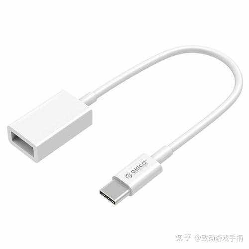 switch主机接口是usb接口吗