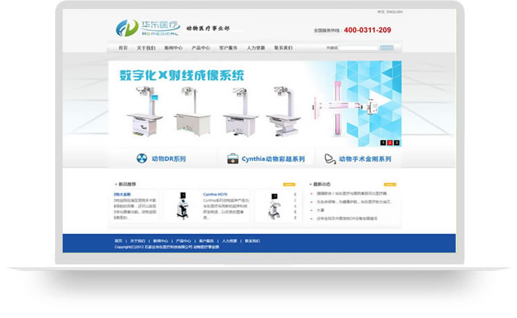 某某公司网站建设论文