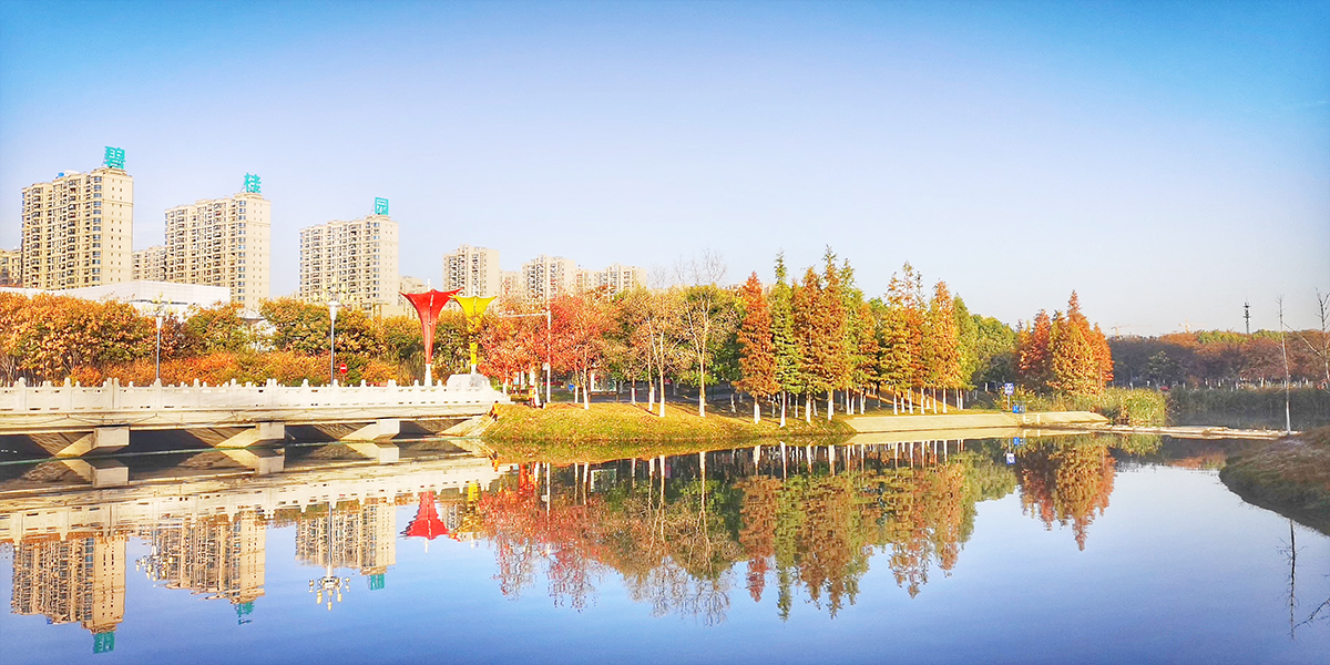 睢宁智能化网站建设