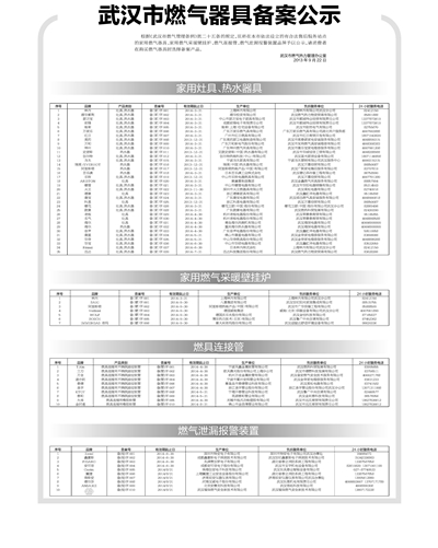 武汉市家用燃气器具备案公示目录