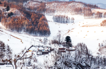 白山市政府门户网站建设现状