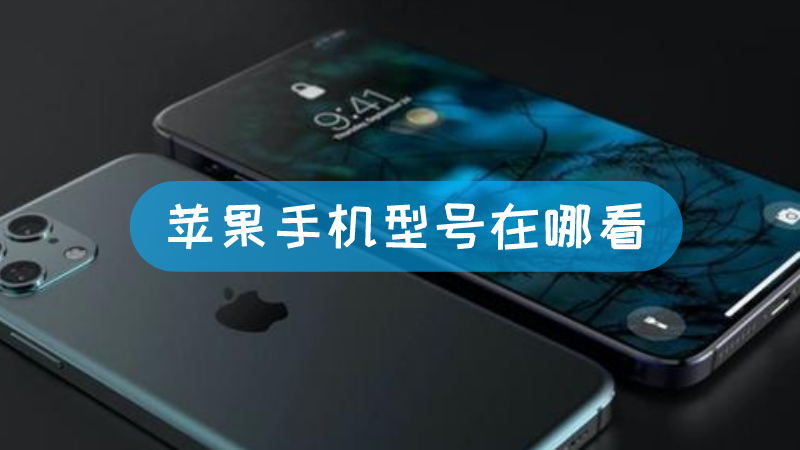 iphone手机主机号