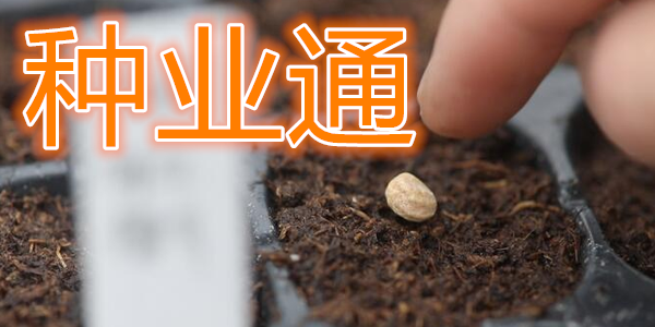 种业通app怎样备案