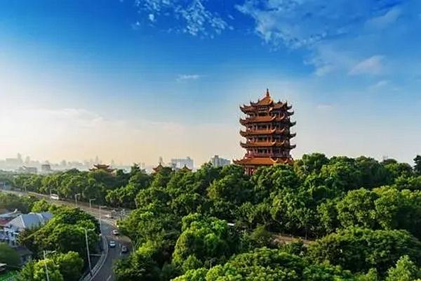 武汉开发商备案查询系统