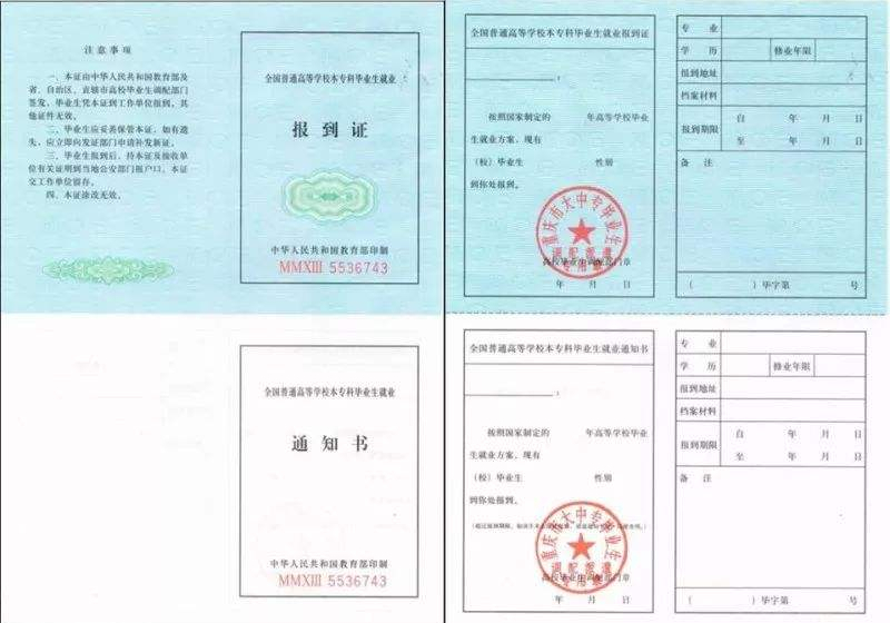 个人就业备案可以在哪里看