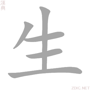 生过孩子以后生育险备案