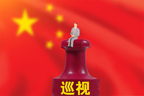 政府采购备案整改报告