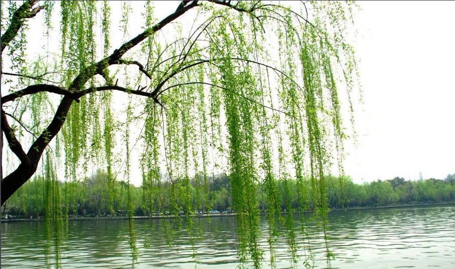 柳市接插件网站建设