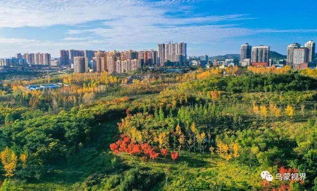 威宁县医保的备案电话