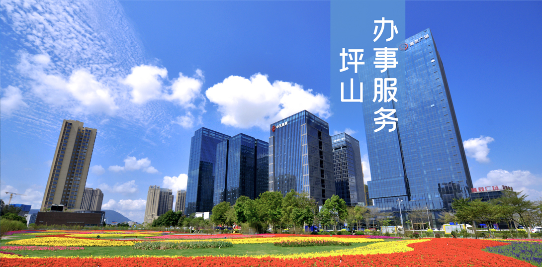 坪山区网站建设中