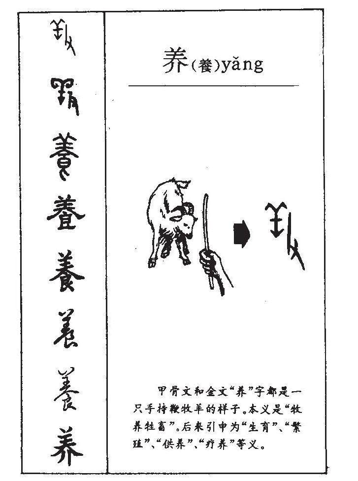 养茶杯犬需要备案吗