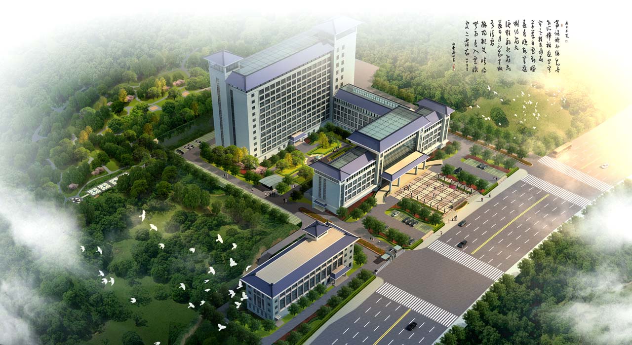 湖南郴州市中医诊所备案证