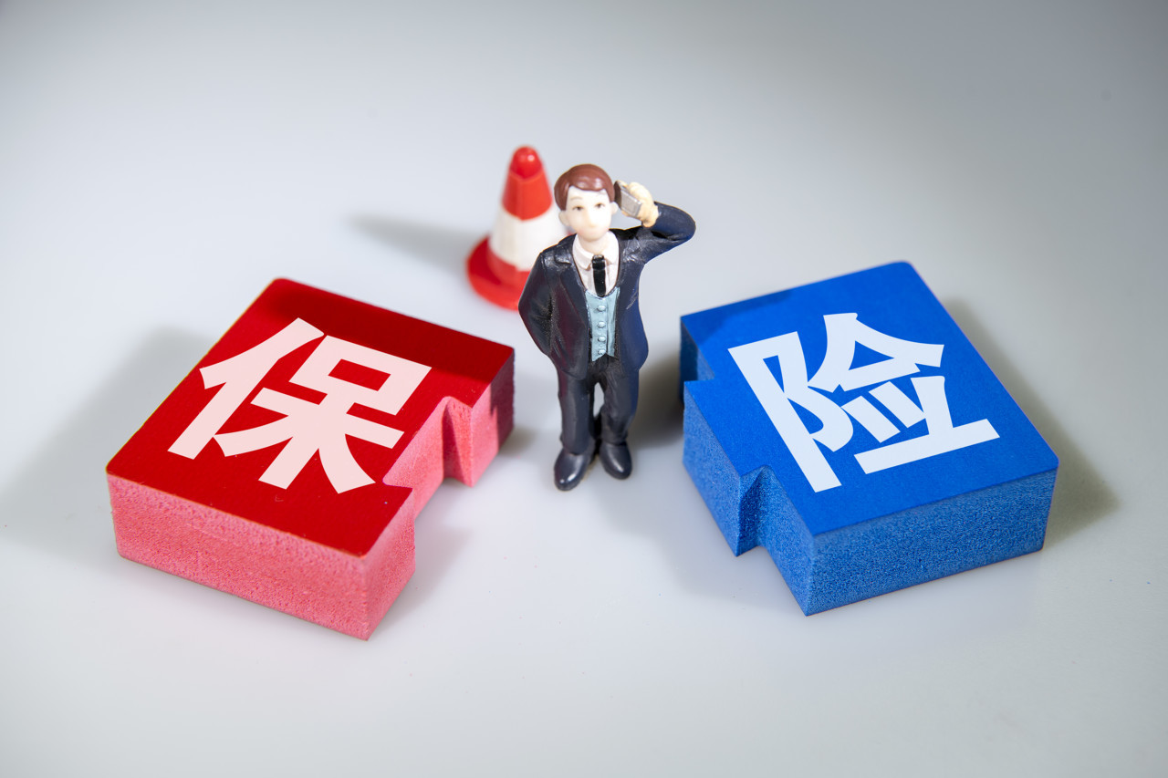 保险公司是否向县级政府备案