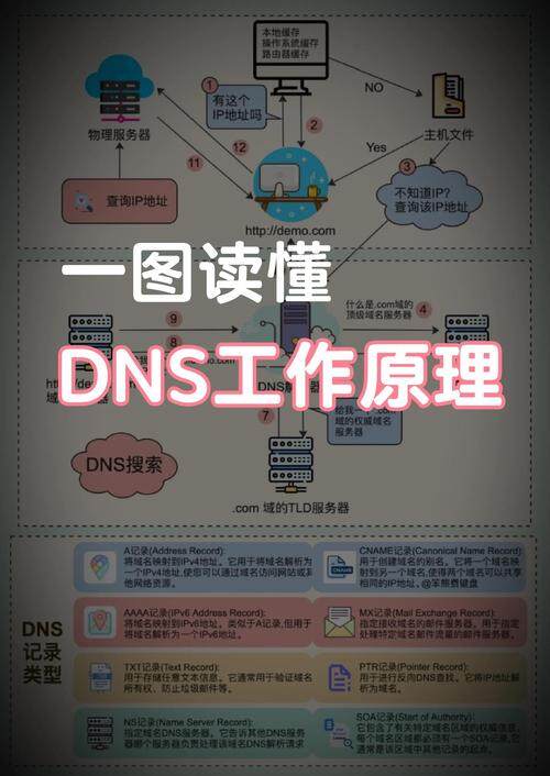 centos解析不了域名