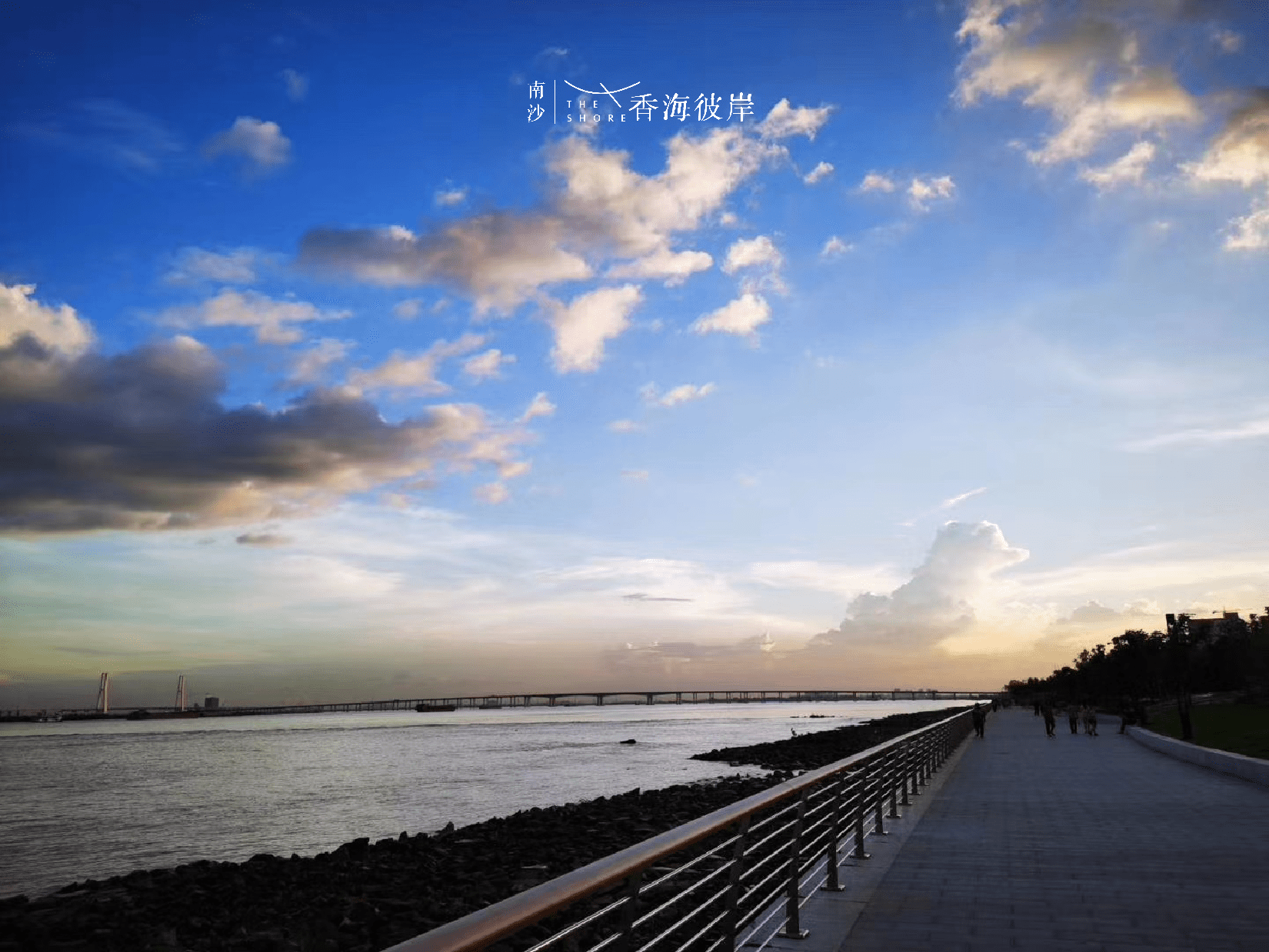 滨海新区无车承运备案