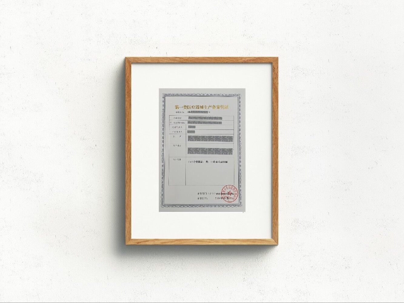 一类医疗备案能网上办理吗