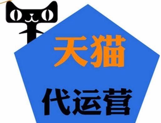 天猫域名服务类网店代运营