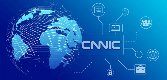 入cnnic网站了解有关域名情况