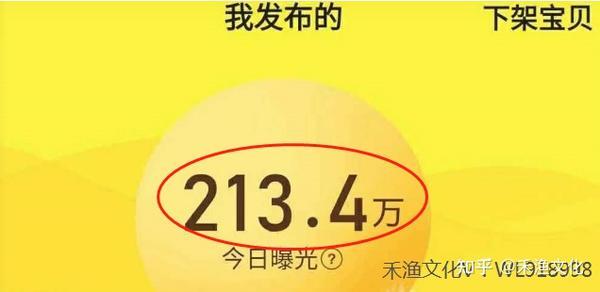 为什么闲鱼上有很多准系统主机