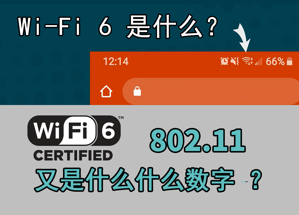 同一网络号不同主机号