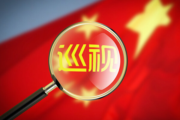 政府采购备案整改报告