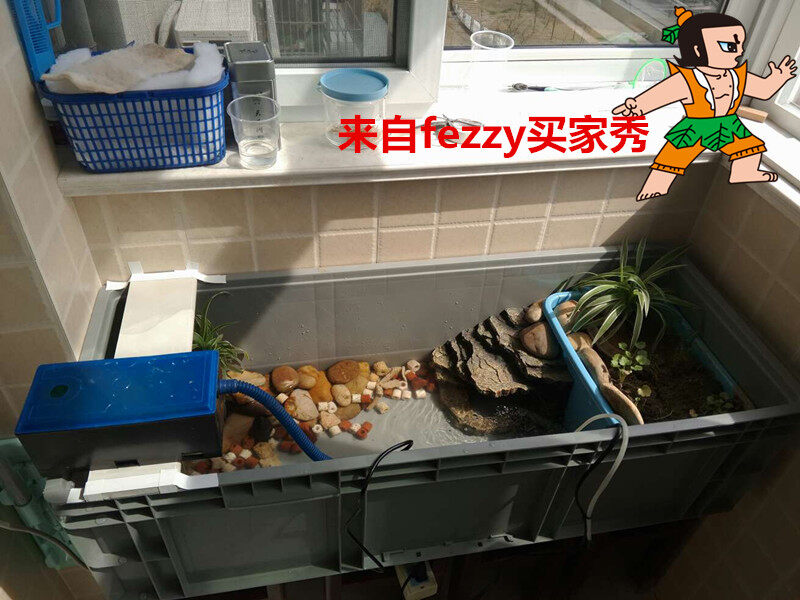 组装养鱼主机多少钱